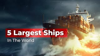 5 Largest Ships in the World that Will Amaze You ship biggest vessel [upl. by Linder]