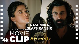 ANIMAL TELUGU SCENE 22 Rashmika Slaps Ranbir😲  Breaks Her Heart  Ranbir K Rashmika Sandeep V [upl. by Adnertal737]