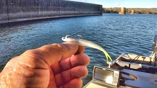 THIS Thing FLAT OUT Catches Fish Easy Way To Catch Sauger and Walleye [upl. by Porty]