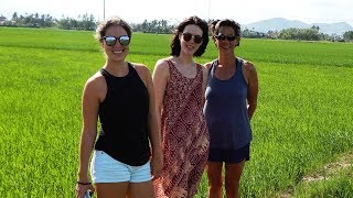 Private Tour Vietnam Shore Excursion to Nha Trang [upl. by Gilbart673]