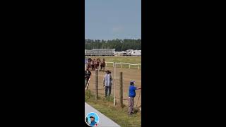 Chuckwagon Race in Saskatchewan 🇨🇦 🍁 🇨🇦 [upl. by Atat305]