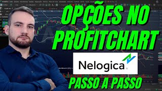 Como Operar OPÇÕES DE AÇÕES no PROFITCHART Passo a Passo Profit Pro Clear Trader Toro Trader [upl. by Esten]