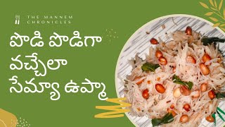 పొడి పొడిలాడే సేమ్యా ఉప్మా  Delicious Semiya Upma Recipe  Quick amp Easy Vermicelli Upma [upl. by Dorin]