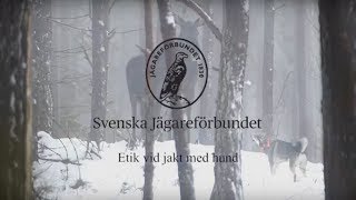 Etik vid jakt med hund  Del 1  av Svenska Jägareförbundet [upl. by Auerbach]