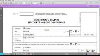 Загранпаспорт как правильно заполнять анкету нового образца июнь2015 [upl. by Alatea500]