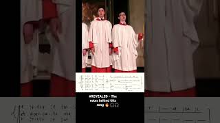 Miserere Helium  Allegri music choir singer balloon masschoir cover [upl. by Etteval150]