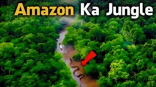 Most Dangerous Animals of Amazon Forest  Amazon Rainforest  Amazon Jangle [upl. by Moina]