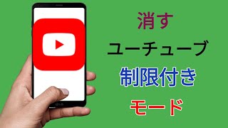 YouTube の制限モードをオフにする方法  YouTube の制限モードを無効にする  2024 [upl. by Frum]