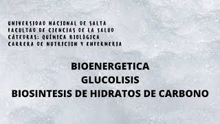 CLASE TEORICA BIONERGETICA GLUCOLISIS BIOSINTESIS DE HIDRATOS DE CARBONO [upl. by Namhcan]