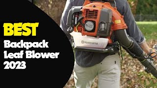 Best Backpack Leaf Blowers for Tidy Outdoor Spaces 2023 [upl. by Taft]