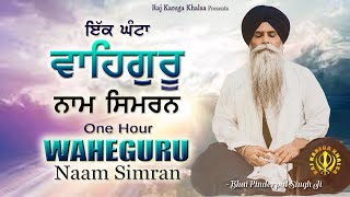 1 Hour  WaheGuru Naam Simran With Bhai Pinderpal Singh Ji  Satnam Waheguru Jaap  Daily Nitnem [upl. by Nauqel]