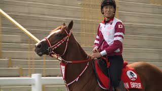 Shin Emperor to fly flag for Japan in Irish Champion Stakes [upl. by Ernestine838]