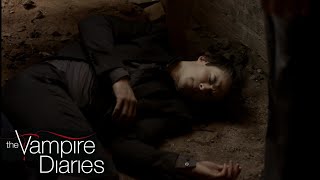 Stefan gives vervain to damon to make him sick s01ep04  The vampire diaries [upl. by Eelsew]