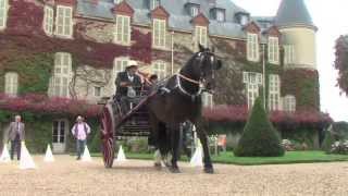 Concours international dattelage de tradition [upl. by Bonnibelle]