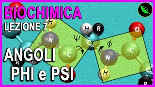 FUNZIONE delle PROTEINE ANGOLI PHI e PSI e GRAFICO di RAMACHANDRAN Biochimica Lezione 7 [upl. by Seale]