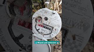 Acoustic Leak Detection Singleton WA 6175 mandurah plumbing wizardleakdetection [upl. by Mairim562]