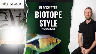 Scaping a Blackwater Biotope Aquarium [upl. by Bouchard]