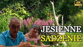 46 JESIENNE SADZENIE jesień kwiaty ogród [upl. by Shanie700]