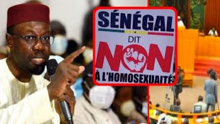 Criminalisation homosexualité  pourquoi Sonko Absent sur les liste des députés Macky au silence 🔕 [upl. by Onitnevuj]