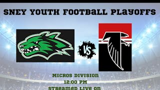 Griswold Youth Football  Playoffs  Micros Division [upl. by Nefen248]