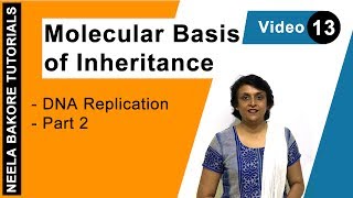 Molecular Basis of Inheritance  NEET  DNA Replication  Part 2  Neela Bakore Tutorials [upl. by Armillda51]