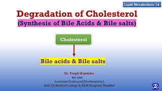 14 Cholesterol Degradation  Lipid Metabolism14  Biochemistry  NJOY Biochemistry [upl. by Eimme]