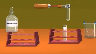 Detection of Elements Lassaigne’s Test  MeitY OLabs [upl. by Barthol242]