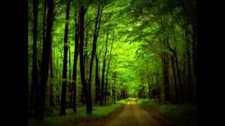 Aron Wright  In the Woods «Кухня» OST [upl. by Standush]