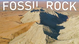 Hiking Fossil Rock in Dubai Desert  United Arab Emirates [upl. by Natasha]