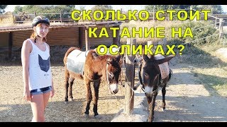 КИПР ЭКСКУРСИЯ НА ОСЛИНУЮ ФЕРМУ ОТ БИБЛИО ГЛОБУС [upl. by Canute]