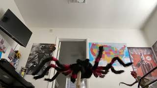 Red and black jumping spider animatronic demo [upl. by Kare197]