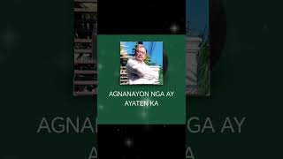 Agnanayon Nga Ay Ayaten Ka Ilocano Song Tagalog Version  Angelo Cover [upl. by Mendelson]