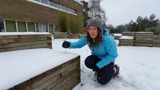 How to Measure Snow Depth [upl. by Retniw655]