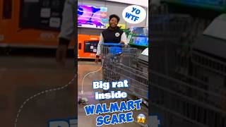 Big rat scare subscribe prank shortvideos shorts [upl. by Netsrejk930]