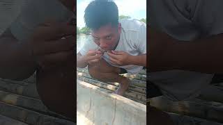 Food Hunting Catching Fresh Oyster 😋 fishing oyster shorts shortsvideo fish seafoods [upl. by Rednaxela]