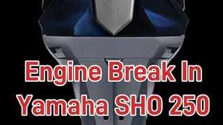 Engine Break In Yamaha SHO 250 On The New Skeeter Bass Boat [upl. by Eaner]