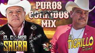 El Tigrillo Palma El Compa Sacra Mix Granderes Exitos 💥 Puros Corridos Mix Para Pistear [upl. by Eiramanin]