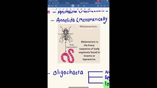 Metamerism of earthworm ceenepal biology mbbsentrance [upl. by Asset105]