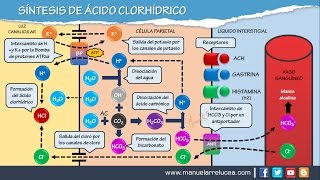 SÍNTESIS DE ÁCIDO CLORHÍDRICO HCL [upl. by Friede210]