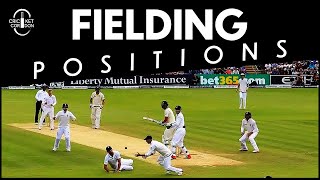 Learn ALL the FIELDING Positions in Cricket under 8 Minutes  English [upl. by Ahsuat]