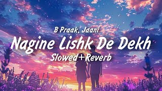 Nagine Lishkde Dekhe SlowedReverb  B Praak  Tere Naina Di Lo Muhre Parindey Tadaf De Dekhe Song [upl. by Lena]