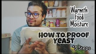 How to Proof Yeast and why you have to  Proof Yeast For Bread In Hindi  In Detail  Tutorial [upl. by Theda69]