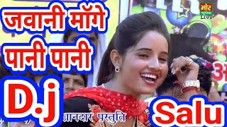 Meri Chadti Jawani Mange Pani Pani👈🎵 Dj Remix Salu Yadav 👌👈🔊 [upl. by Giliana]