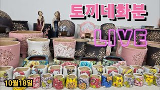 10월18일 선영분 들꽃 상민 이쁜아이들 많이 준비 했어요 [upl. by Naryt666]