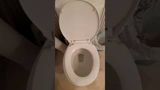 “🤣 Toilet Fails Try Not to Laugh Challenge 🚽😂  10 Takes Later”shortsviral toilet humor [upl. by Renzo]