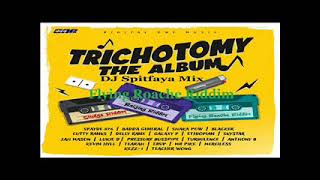 TrichotomyThe AlbumFlying Roache Riddim MixftTurbulenceLukie DIbo FyahDelly RanxCutty Ranks [upl. by Ressan234]