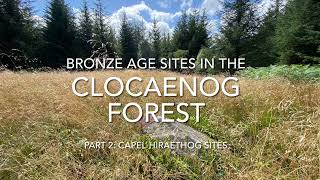 Bronze Age sites in the Clocaenog Forest  Part 2  Capel Hiraethog sites [upl. by Daley]