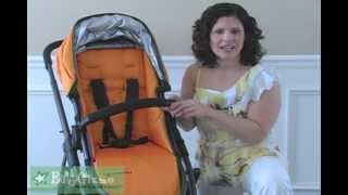 Baby Gizmo UPPAbaby VISTA Review [upl. by Annawaj147]