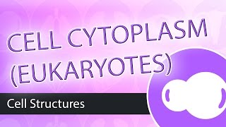 Eukaryotic Cells The Cytoplasm [upl. by Neelrac]