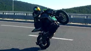 Z1000 The Wheelie Machine in Istanbul Bonus TOP SPEED [upl. by Carly612]